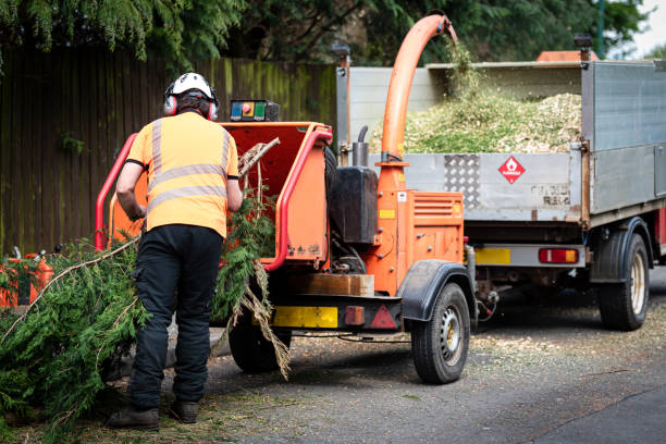 Best Grass Overseeding  in Plainsboro Center, NJ